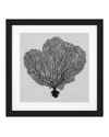 Картина Shadow Sea Fans set of 4