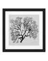 Картина Shadow Sea Fans set of 4