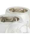 Шкатулка Apple & Pear set of 2