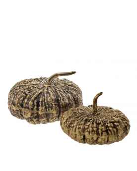 Шкатулка Citrouille set of 2