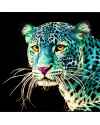 Картина на стекле WernerVoss Blue Leo 120x80 cm 