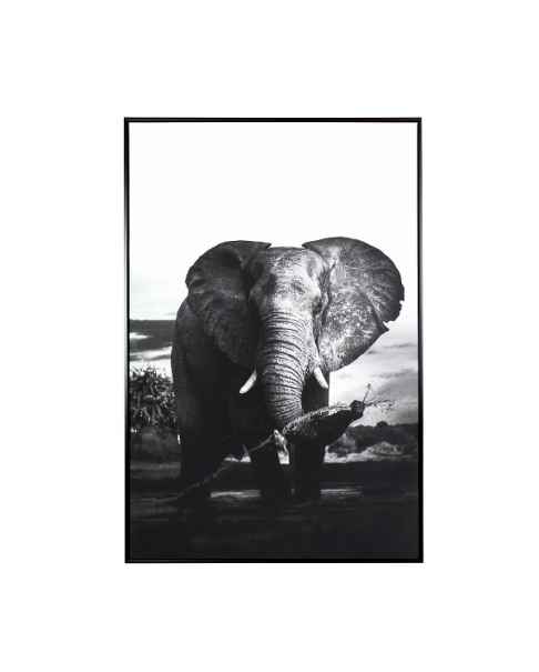 Картина Elephant